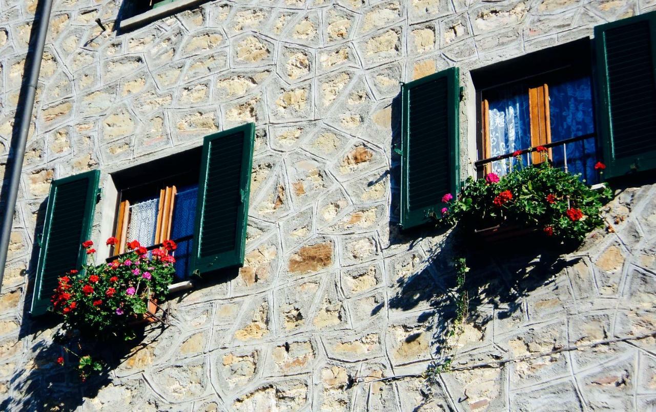 Andante Appartamenti Castelnuovo di Val di Cecina Exterior foto