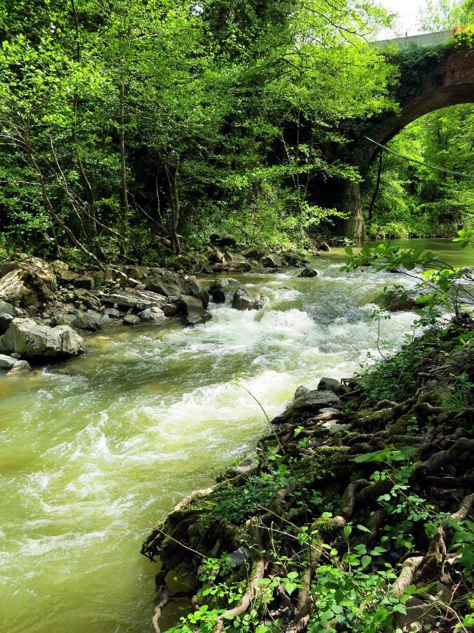 Andante Appartamenti Castelnuovo di Val di Cecina Exterior foto