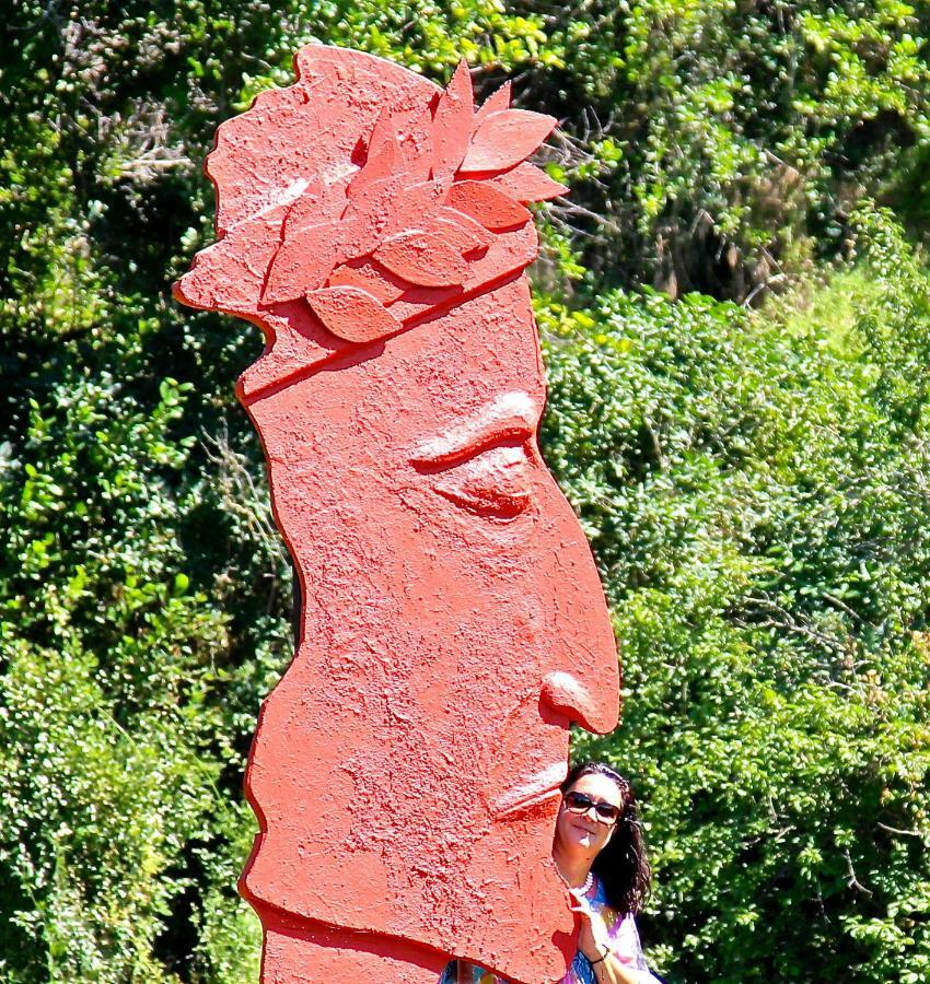 Andante Appartamenti Castelnuovo di Val di Cecina Exterior foto